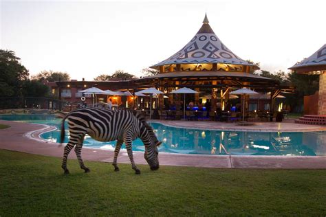 Avani victoria falls resort zambia - Discover Zambia’s Unique Water, Land and Sky Adventures As one of the world’s most iconic Natural Wonders, travellers flock to Victoria Falls to experience the majestic waterfall and a range of thrilling water, land and sky adventures. Guests at The Avani Victoria Falls Resort can enjoy these highly exclusive experiences. 